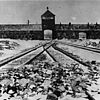 Konzentrationslager Auschwitz-Birkenau, nach der Befreiung 1945. Bild: Bundesarchiv, Stanislaw Mucha / CC-BY-SA 3.0