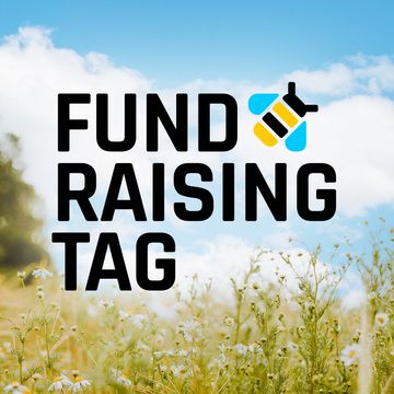 Das Logo des Fundraisingtags mit einer stilisierten Biene vor dem Hintergrund einer goldenen Blumenwiese.
